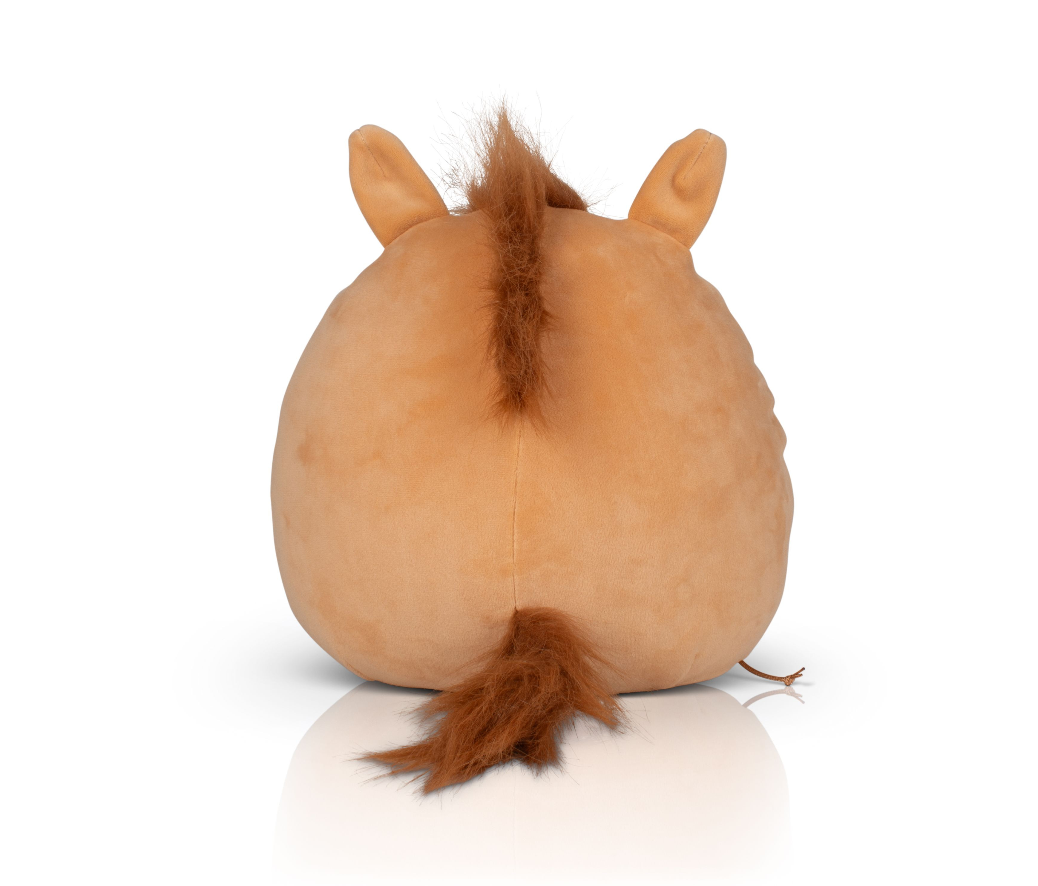 SQUIDGY PONY